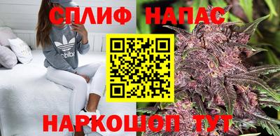 шишки Абинск